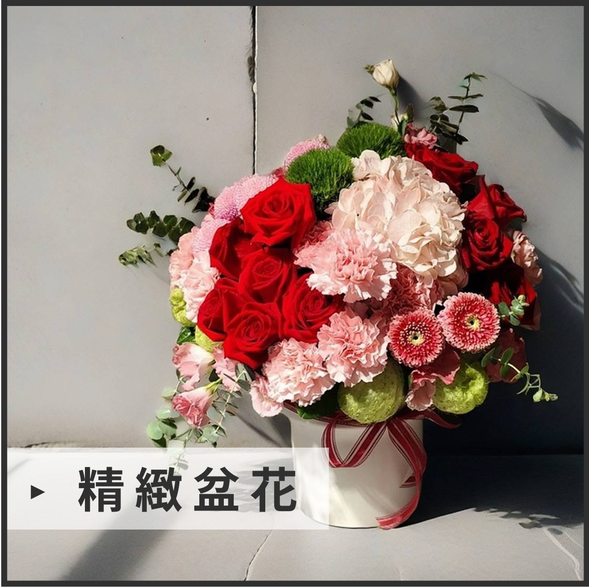 精緻盆花