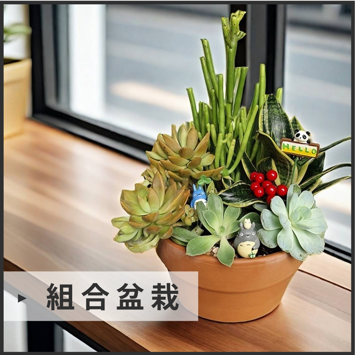 組合盆栽